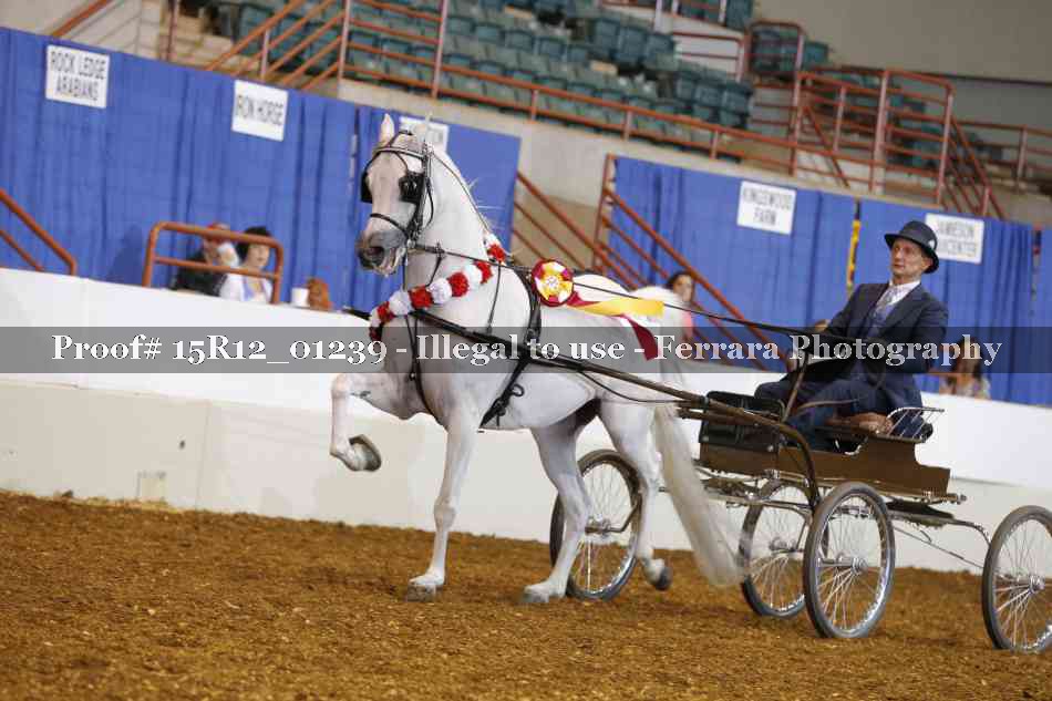 Proof 15R12_01239