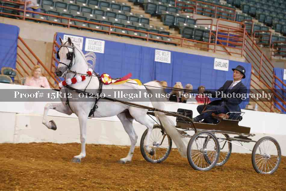 Proof 15R12_01240