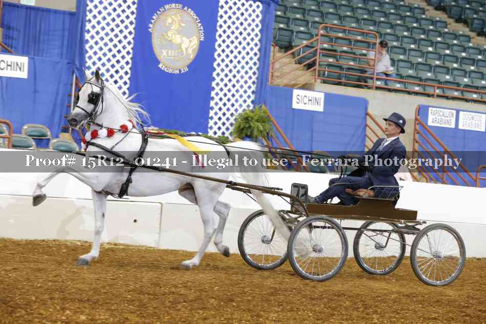 Proof 15R12_01241