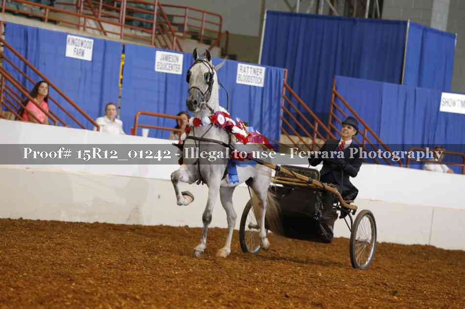 Proof 15R12_01242