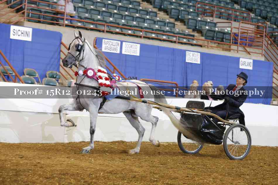 Proof 15R12_01243