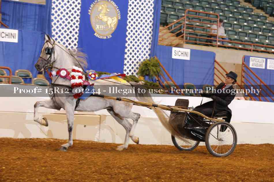 Proof 15R12_01244