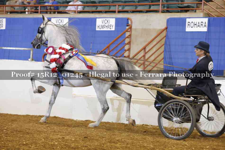 Proof 15R12_01245