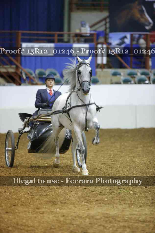 Proof 15R12_01246
