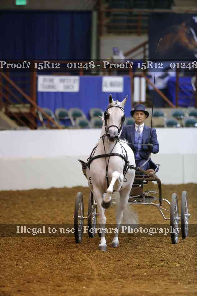 Proof 15R12_01248