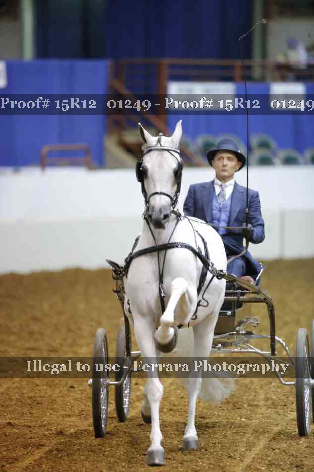Proof 15R12_01249