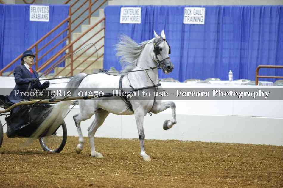 Proof 15R12_01250