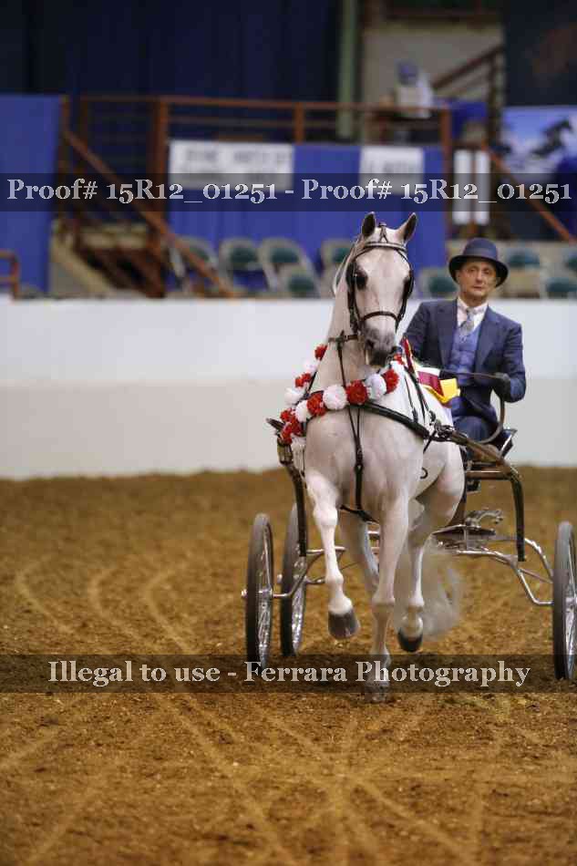 Proof 15R12_01251