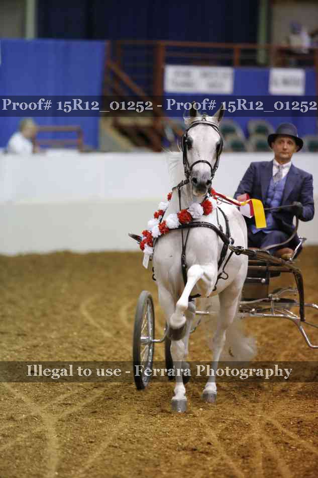 Proof 15R12_01252