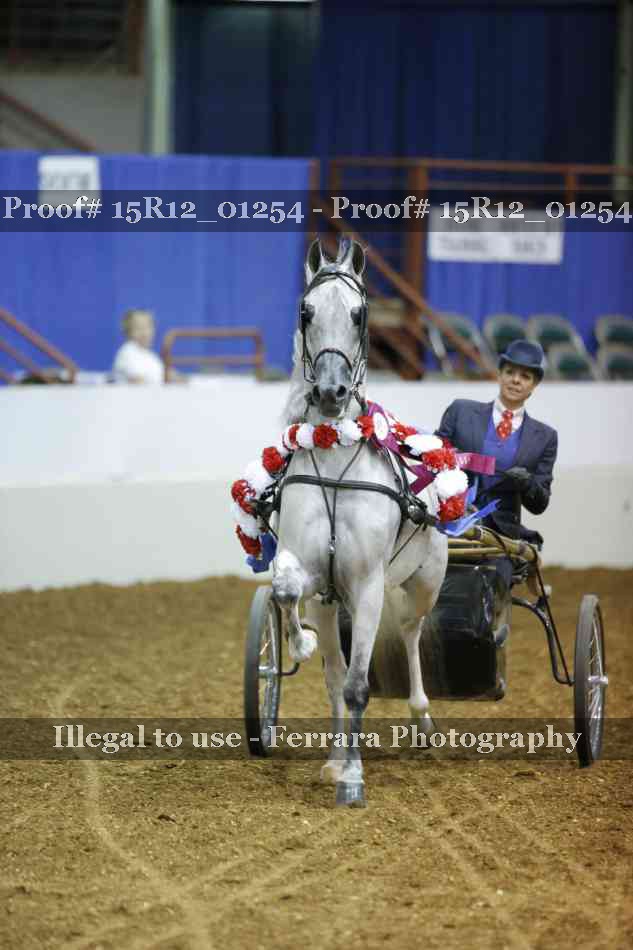 Proof 15R12_01254