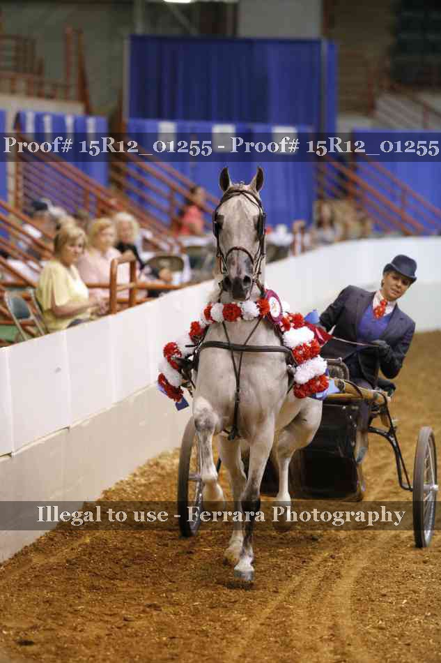 Proof 15R12_01255