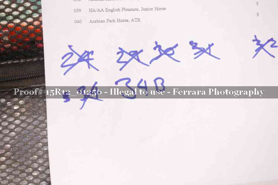 Proof 15R12_01256