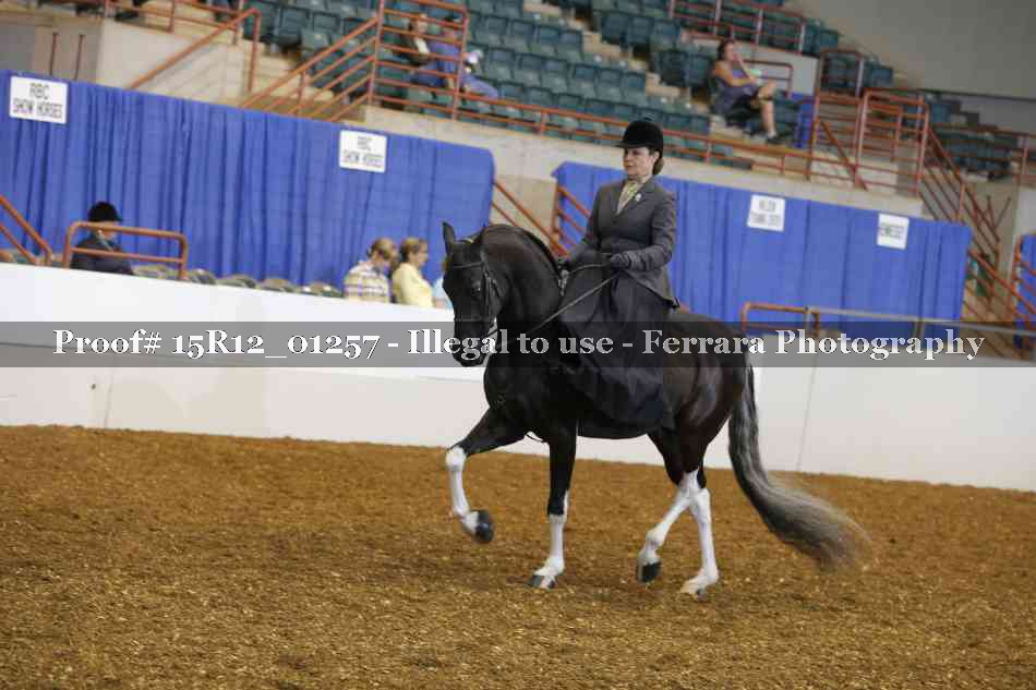 Proof 15R12_01257