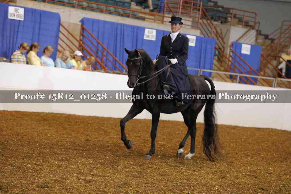 Proof 15R12_01258