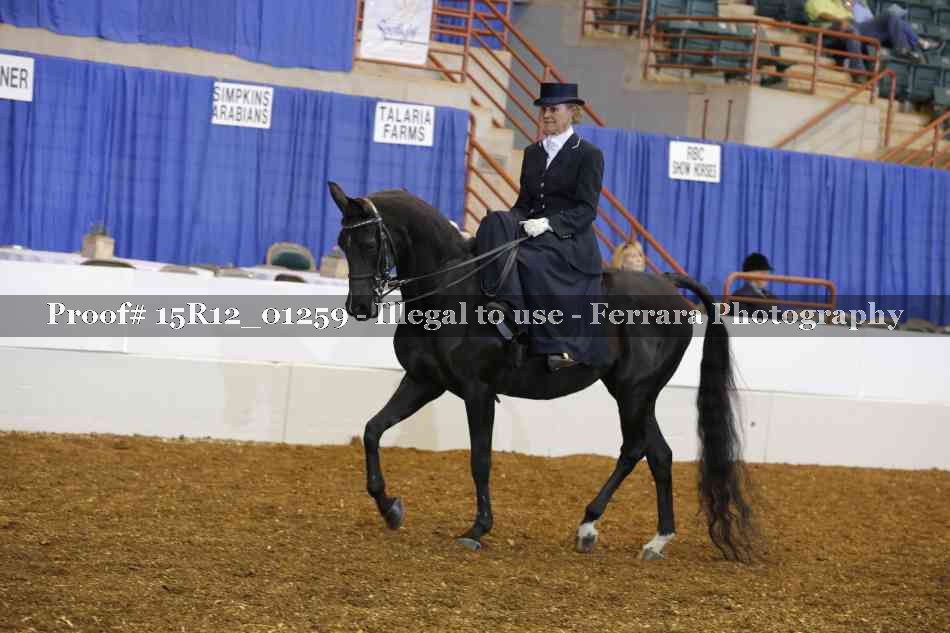 Proof 15R12_01259