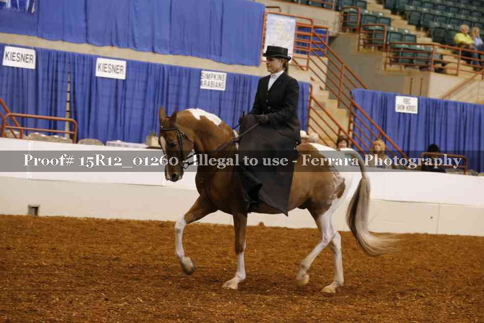 Proof 15R12_01260