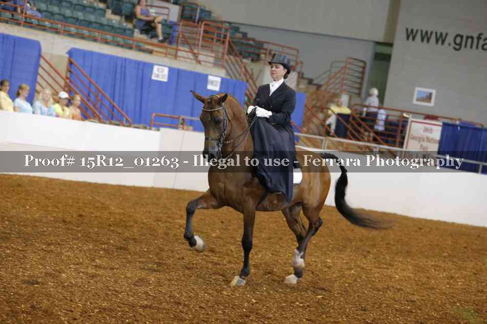 Proof 15R12_01263