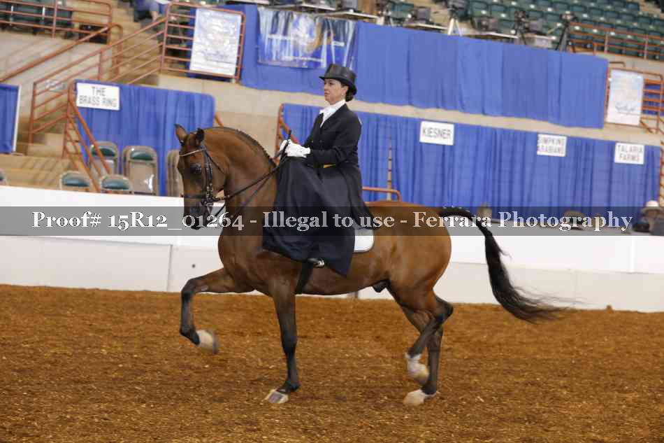 Proof 15R12_01264