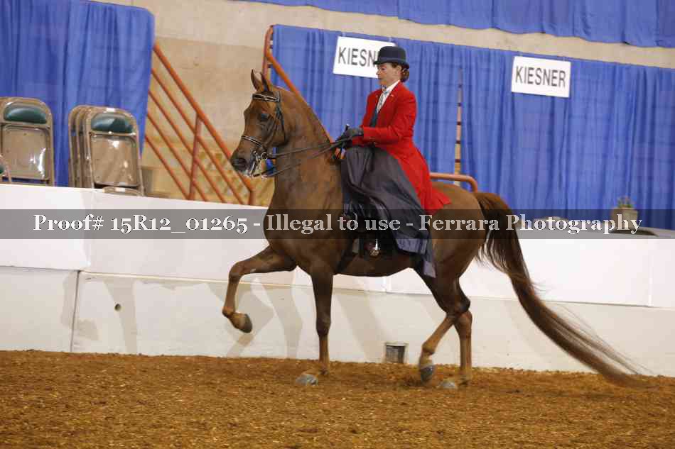 Proof 15R12_01265