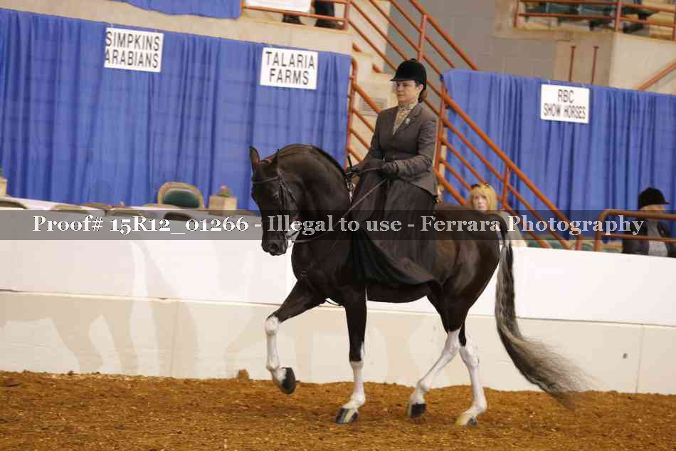 Proof 15R12_01266