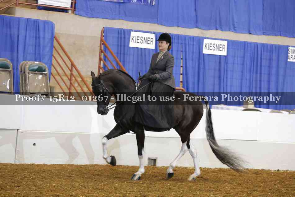 Proof 15R12_01267