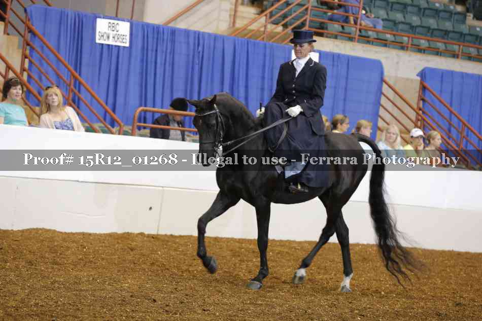 Proof 15R12_01268