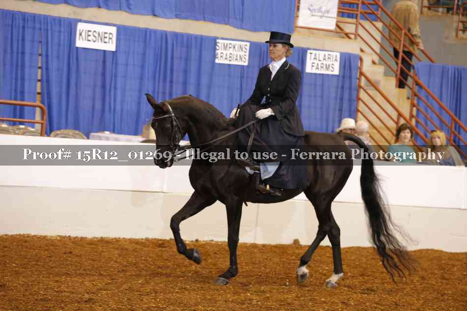 Proof 15R12_01269