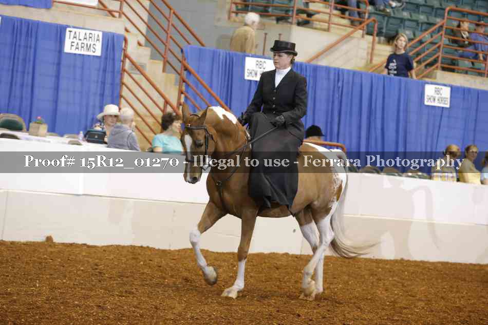 Proof 15R12_01270