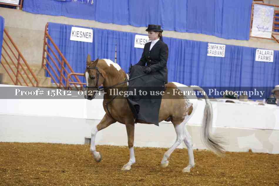 Proof 15R12_01271