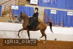 15R12_01272 proof