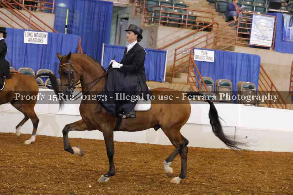 Proof 15R12_01273