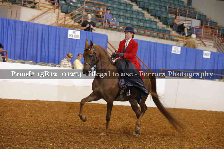 Proof 15R12_01274