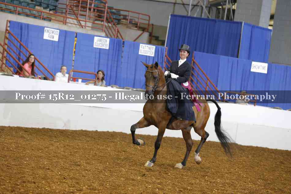 Proof 15R12_01275