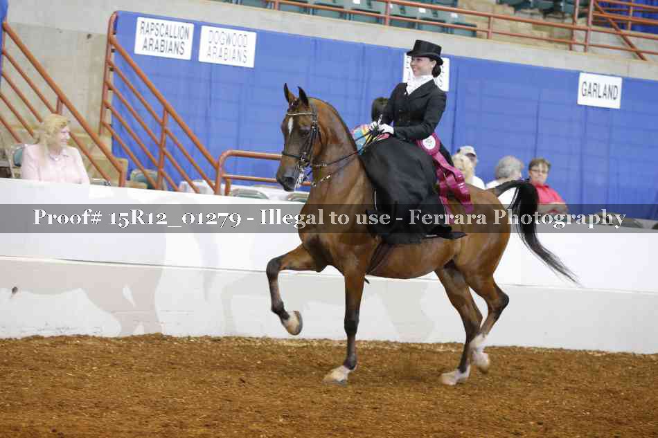 Proof 15R12_01279