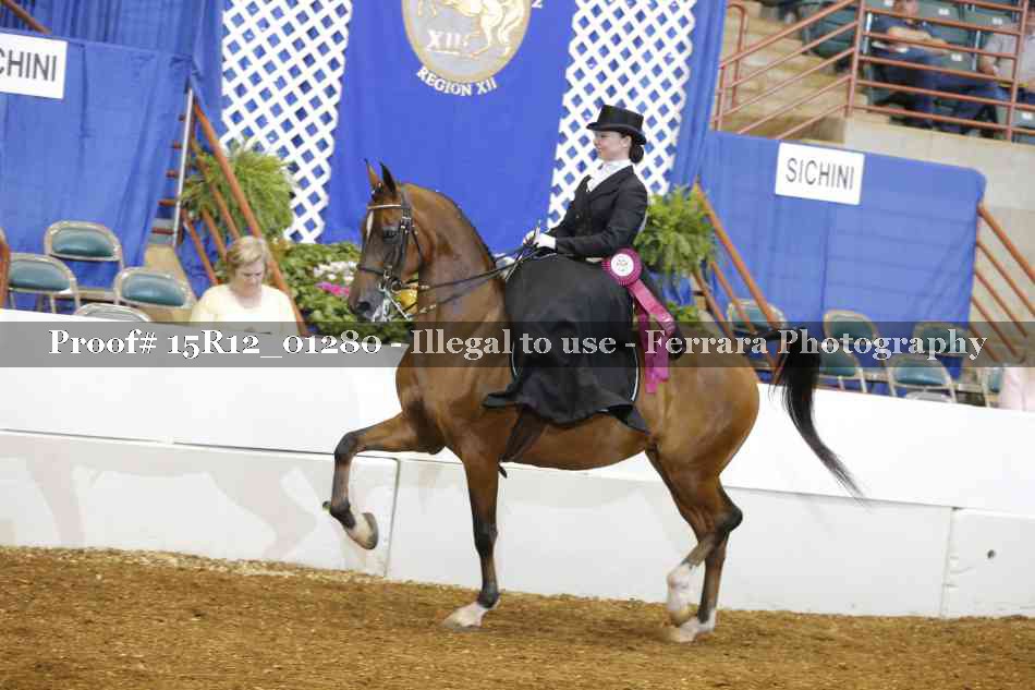 Proof 15R12_01280