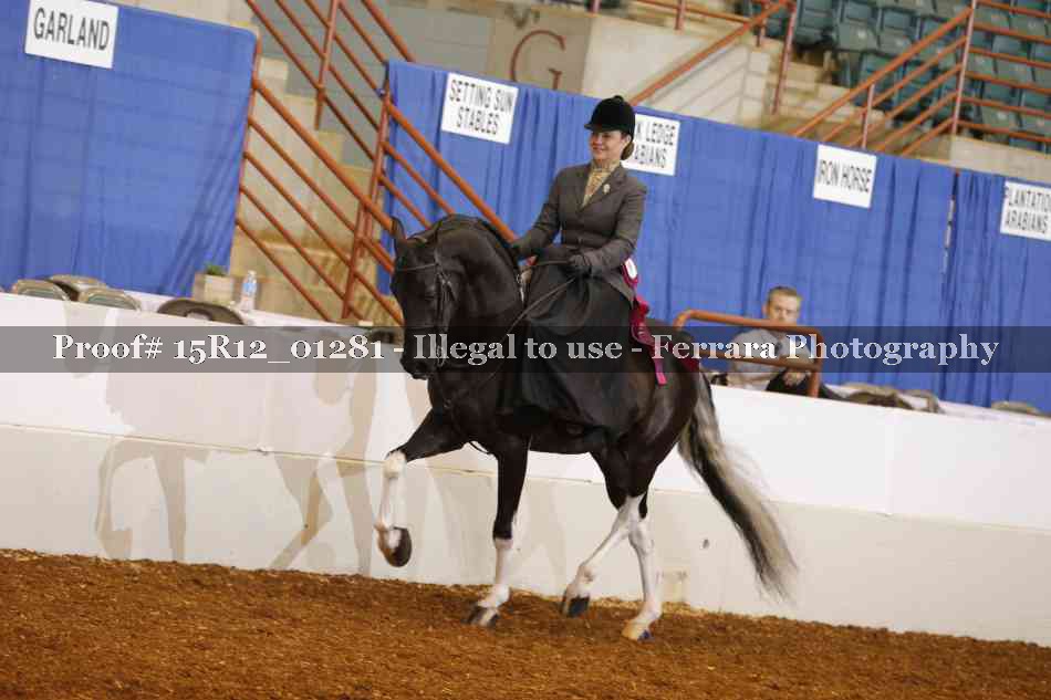 Proof 15R12_01281