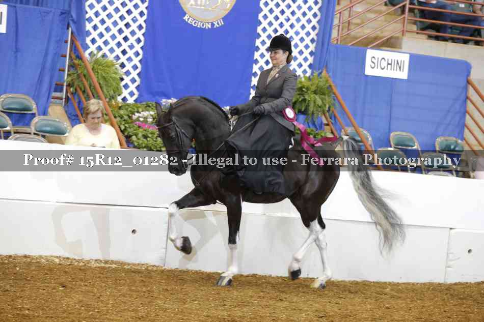 Proof 15R12_01282