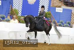 15R12_01282 proof