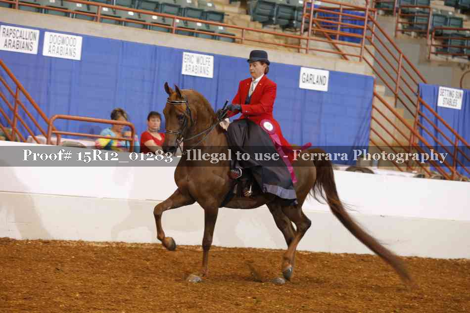 Proof 15R12_01283