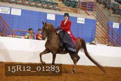 15R12_01283 proof