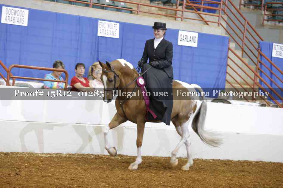 Proof 15R12_01285