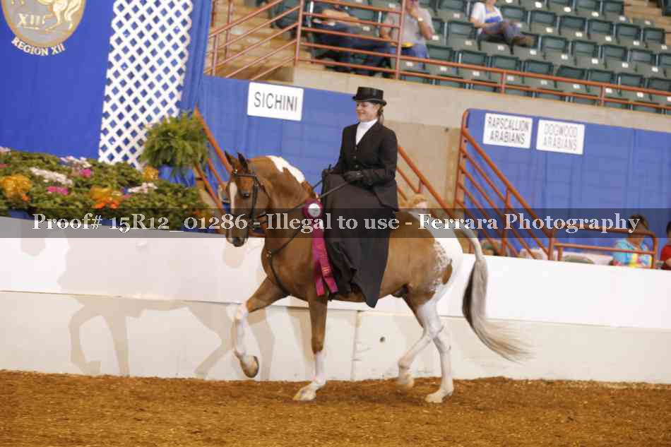 Proof 15R12_01286