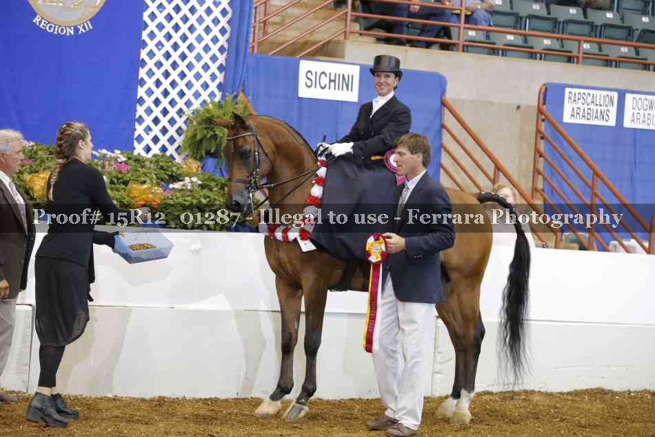 Proof 15R12_01287