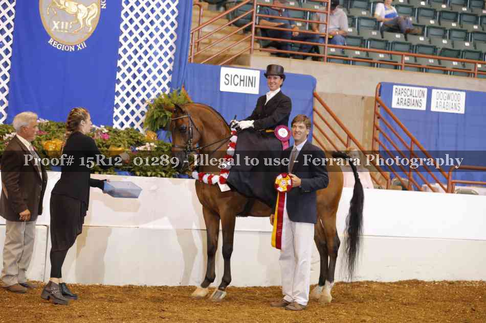 Proof 15R12_01289
