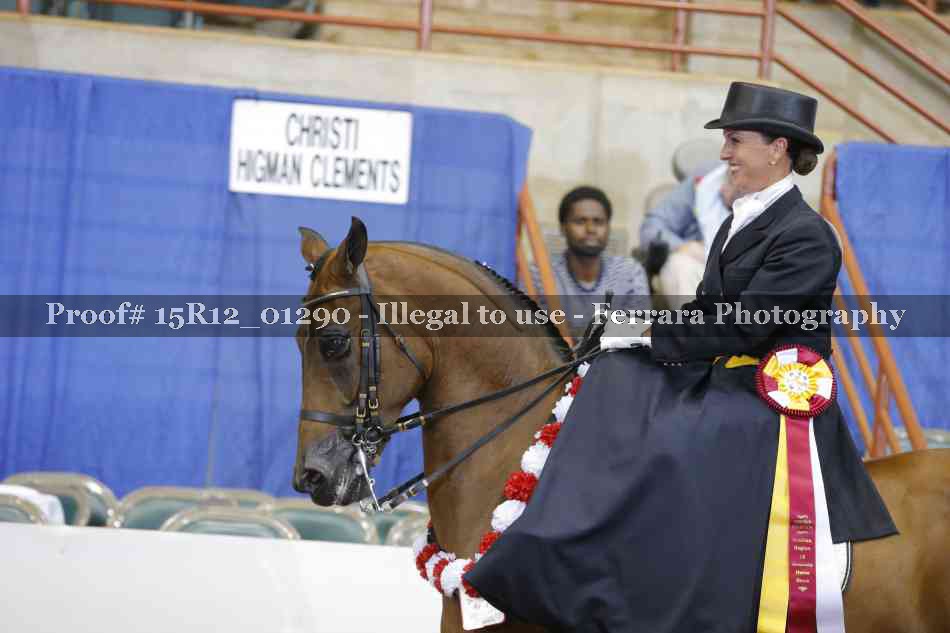 Proof 15R12_01290