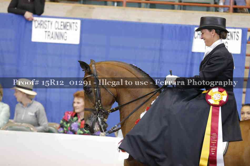 Proof 15R12_01291