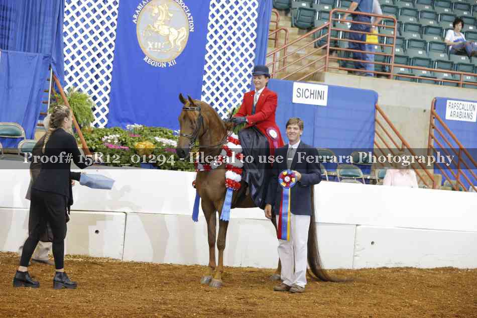 Proof 15R12_01294