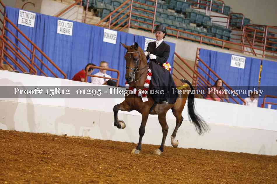 Proof 15R12_01295