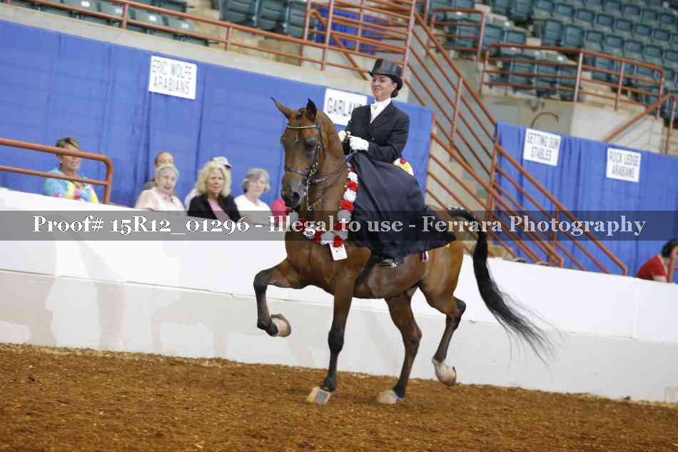Proof 15R12_01296