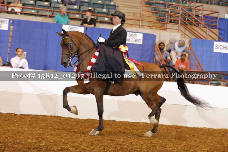 Proof 15R12_01297